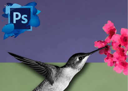 Adobe Photoshop CS6